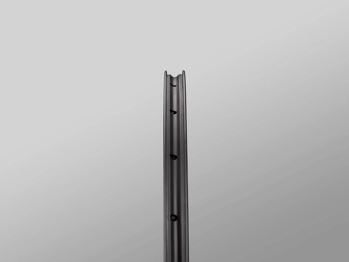 Reserve Wheels Reserve 25 DT350 700c Carbon Gravel Wheelset