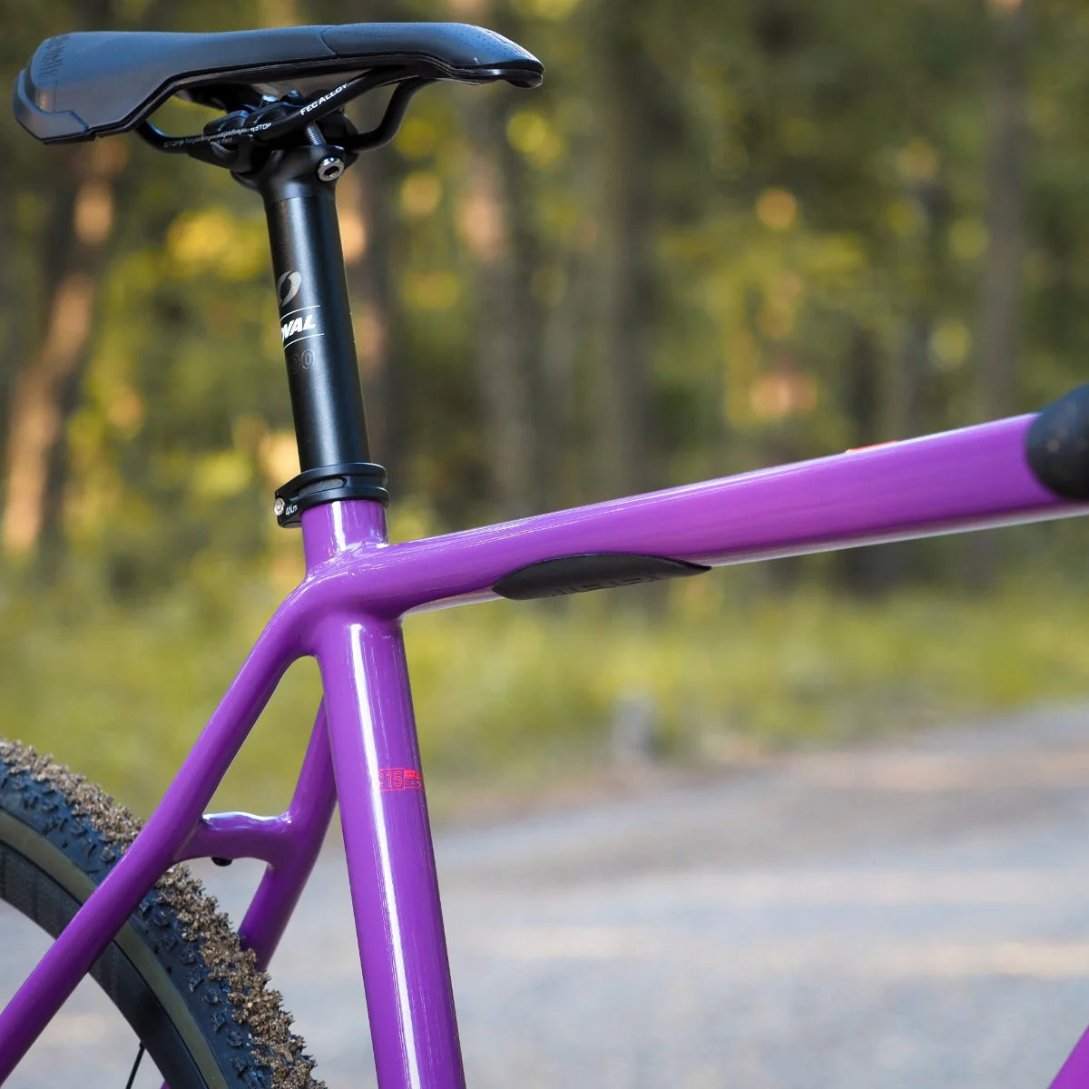 Fuji Jari Carbon CX 700c Gravel Bike - Eggplant