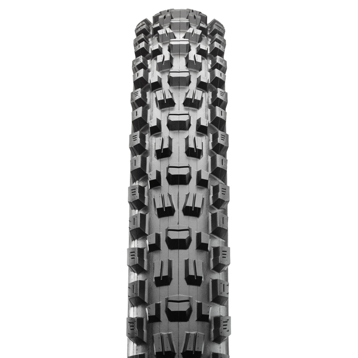 Maxxis Assegai 29" Folding MTB Tire - EXO+ Prior Season