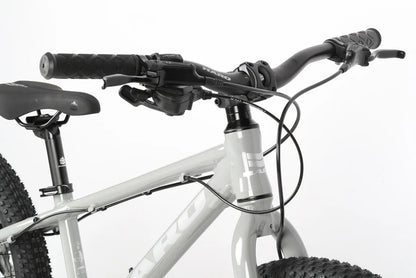 Haro Flightline 20" Plus Disc Kids Bike - Cool Gray