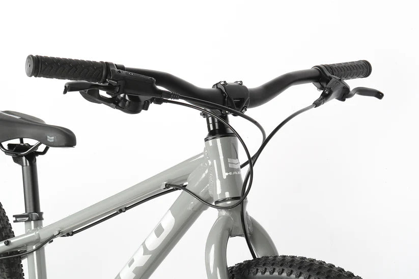 Haro Flightline 24" Plus Disc Kids Bike - Cool Gray