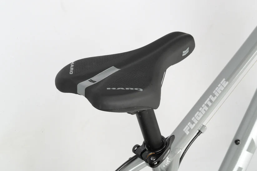 Haro Flightline 24" Plus Disc Kids Bike - Cool Gray