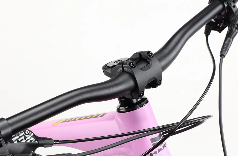 Haro Saguaro 2 29" - Matte Mauve