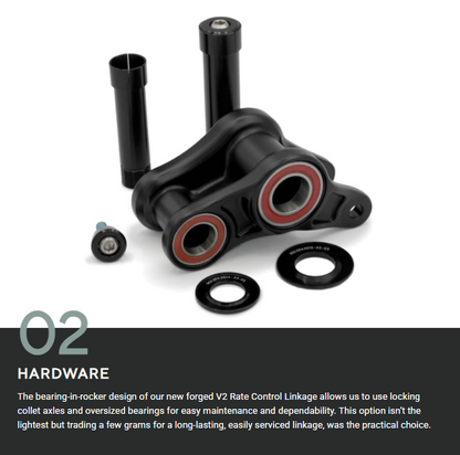 Forbidden Druid 2 29 - Sage Wisdom