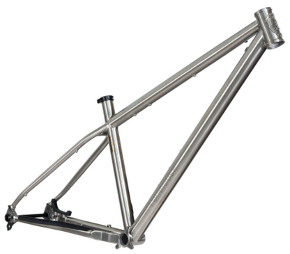 Forbidden Heathen 29 Framekit - Titanium Raw