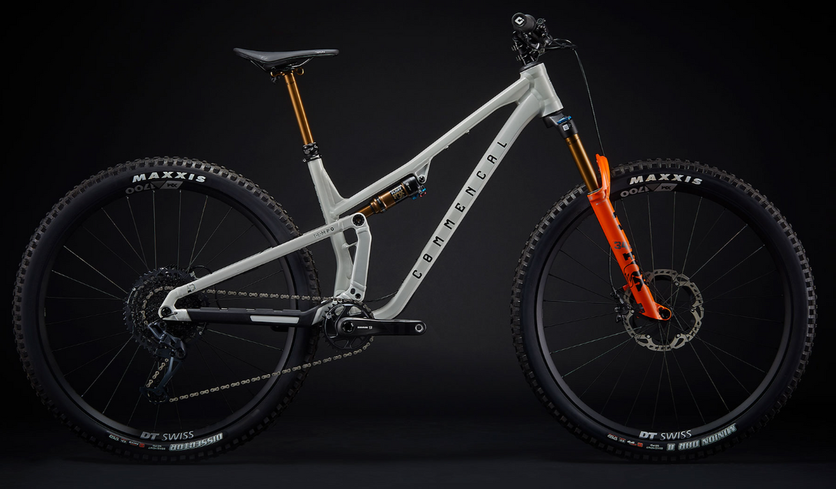 Commencal Tempo 29 - Signature - Clear Silver
