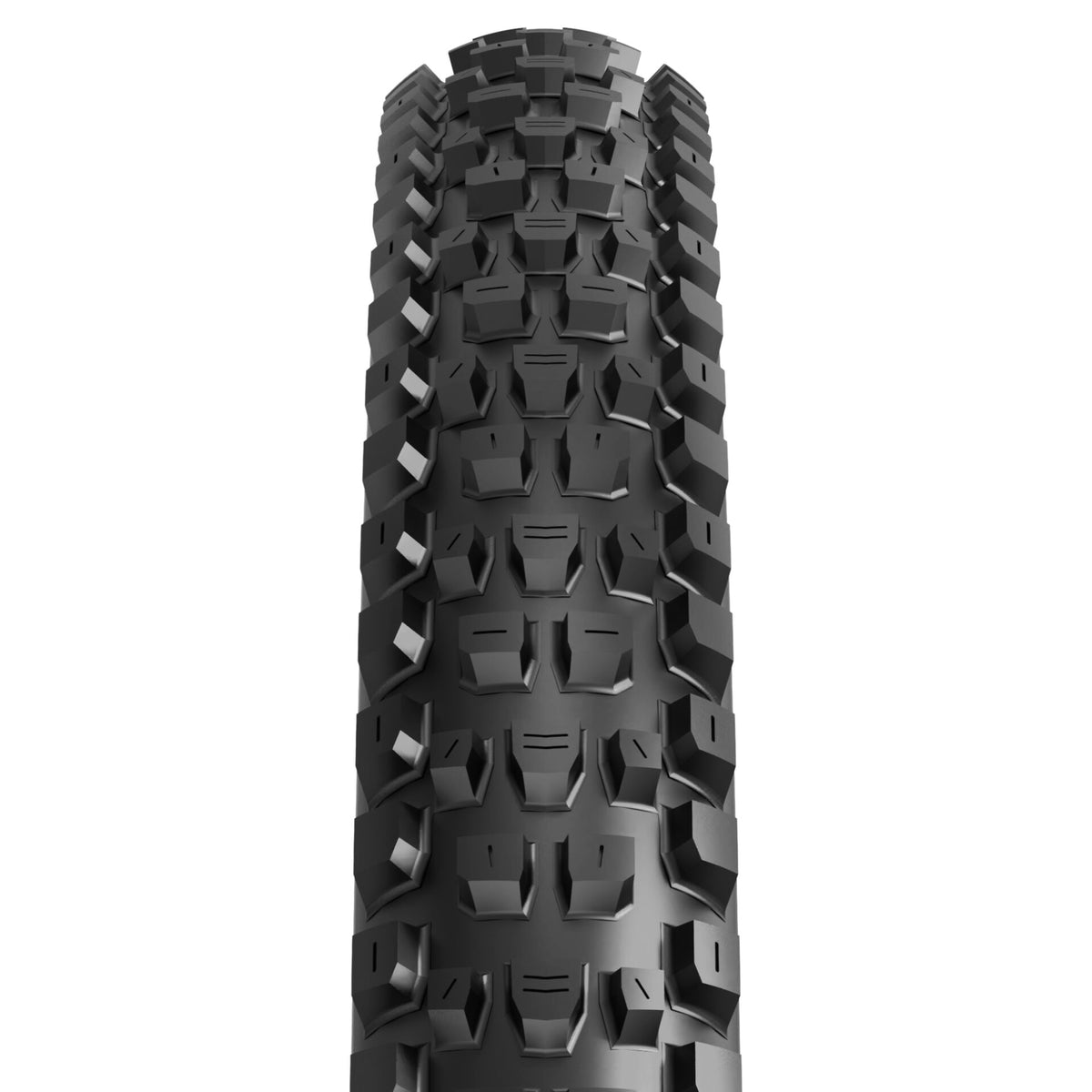Maxxis Dissector II 29" MTB Folding Tire - EXO+