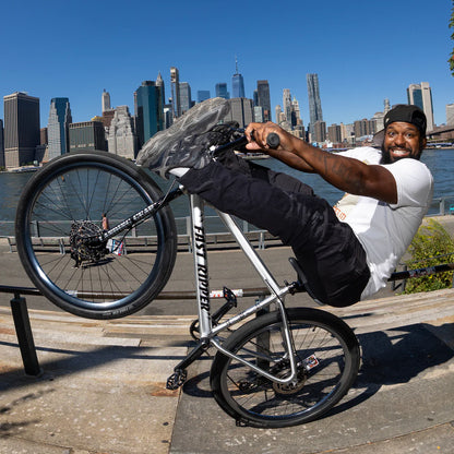 SE Bikes Fast Ripper 29 - Ball Burnished Silver