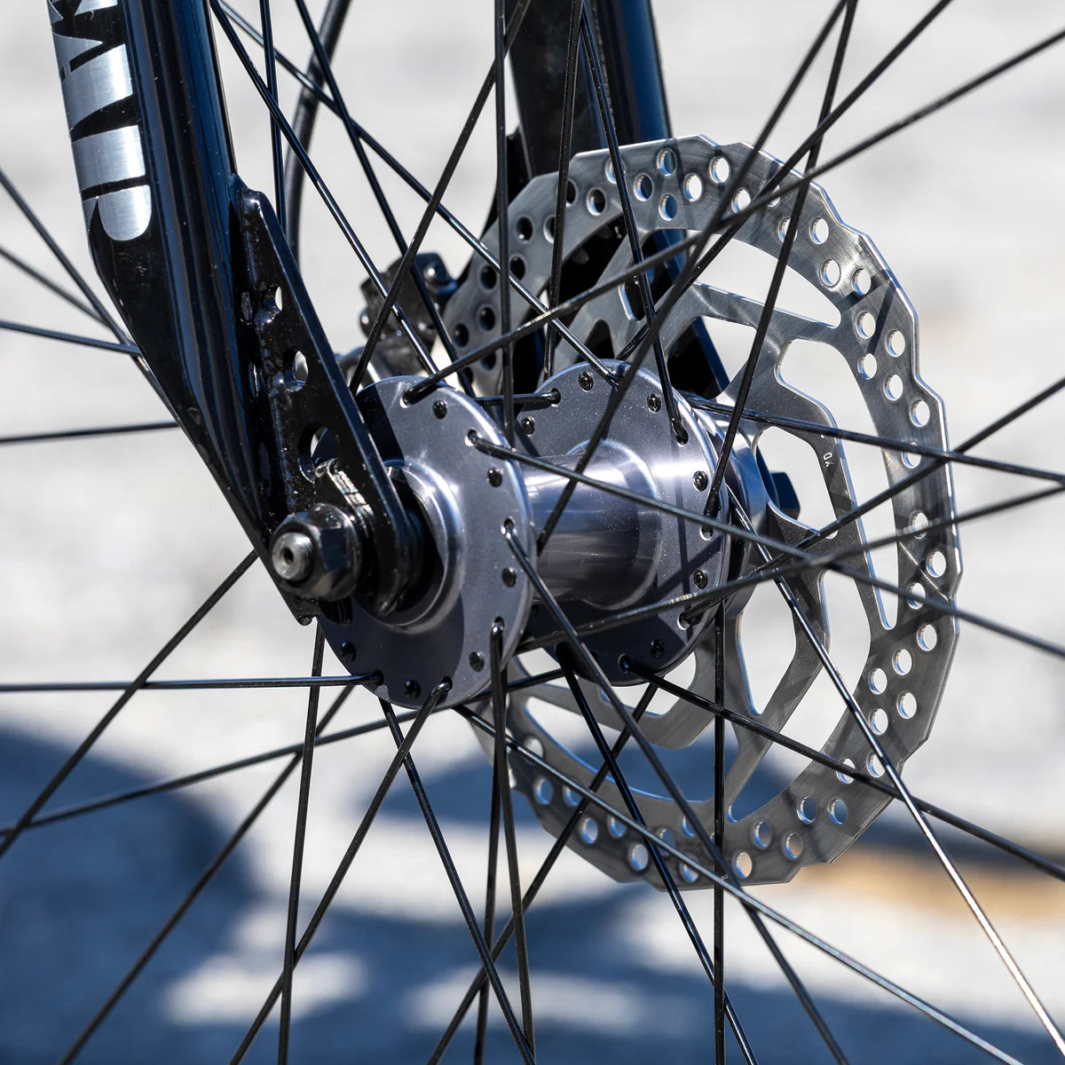 SE Bikes Fast Ripper 29 - Ball Burnished Silver