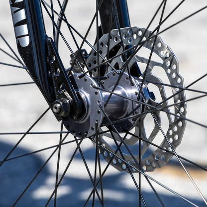 SE Bikes Fast Ripper 29 - Ball Burnished Silver
