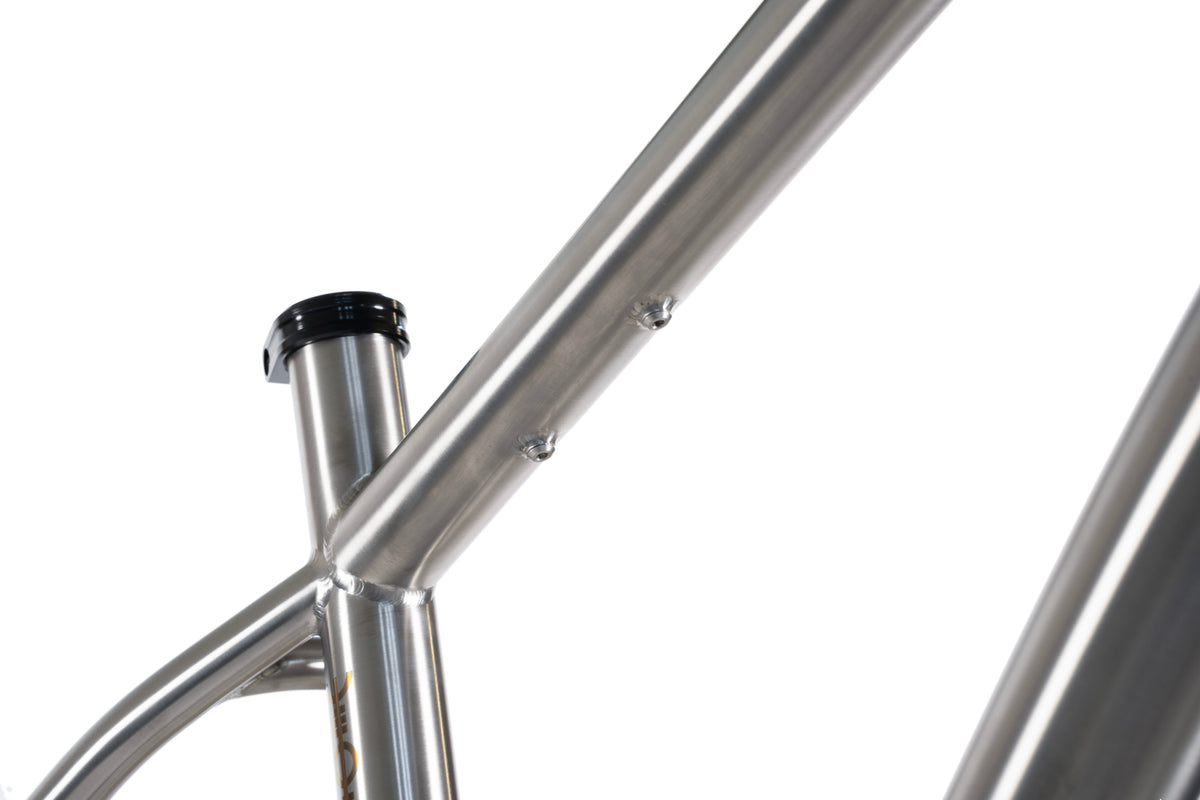 Forbidden Heathen 29 Framekit - Titanium Raw