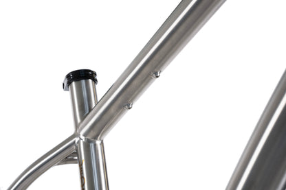 Forbidden Heathen 29 Framekit - Titanium Raw