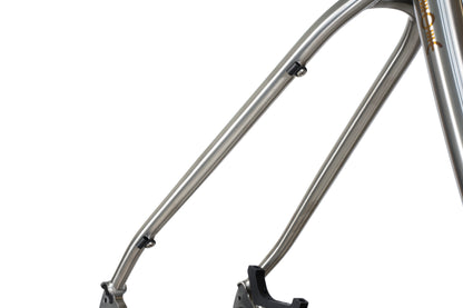 Forbidden Heathen 29 Framekit - Titanium Raw