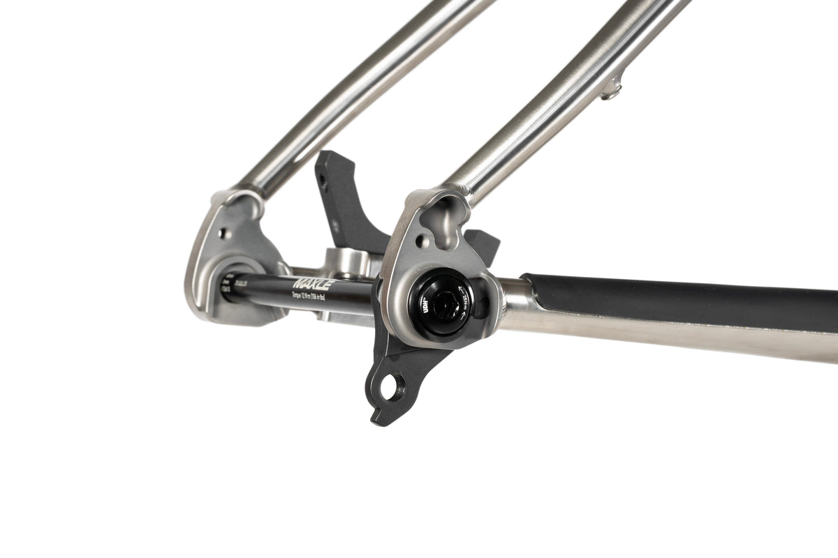 Forbidden Heathen 29 Framekit - Titanium Raw