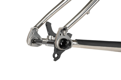 Forbidden Heathen 29 Framekit - Titanium Raw