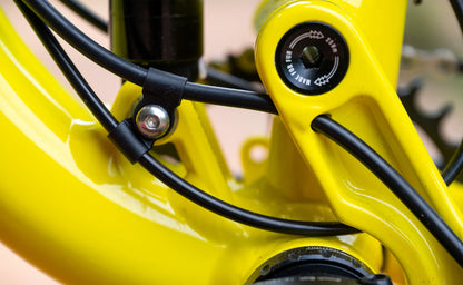 Marin Rift Zone JR 24" - Green-Yellow Fade
