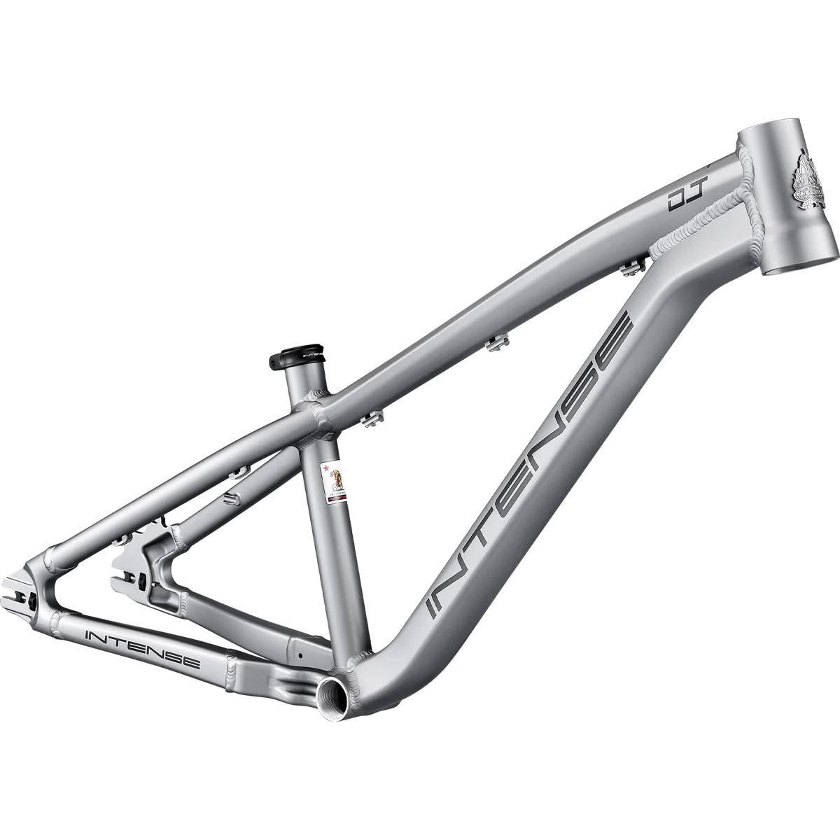 Intense DJ 26 Frame - Titanium - 2026