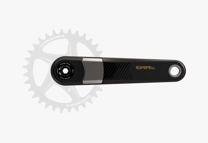 Race Face ERA SL Crank Arms - Kash Money