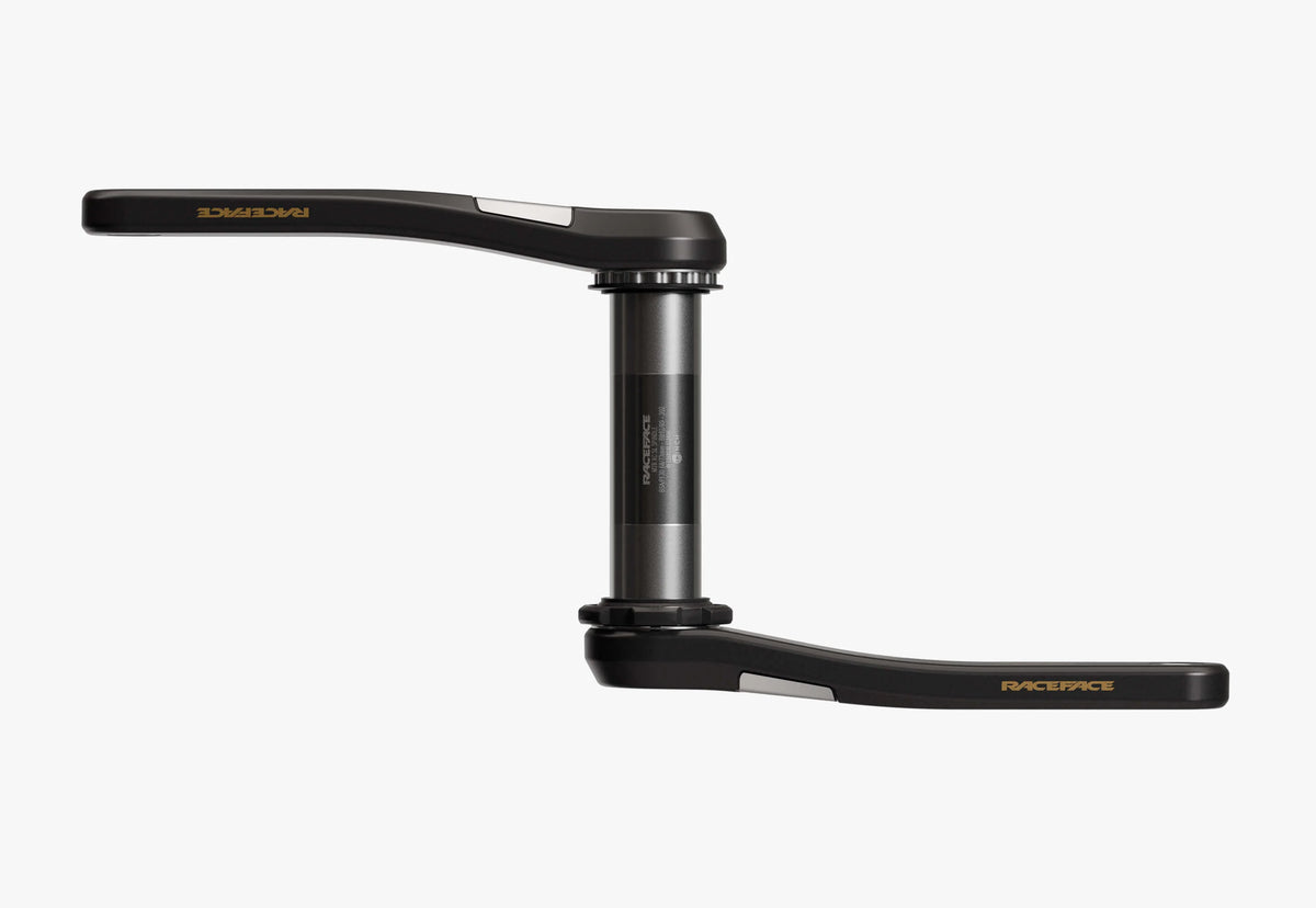 Race Face ERA SL Crank Arms - Kash Money