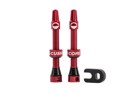 CushCore Air Valve Set